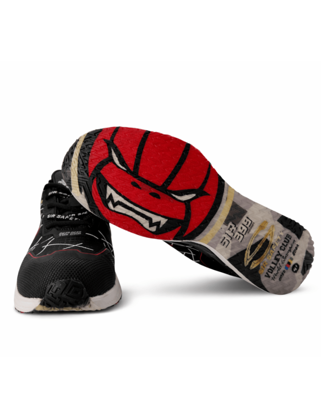 SIR Fuzzy S1PS darbo batai