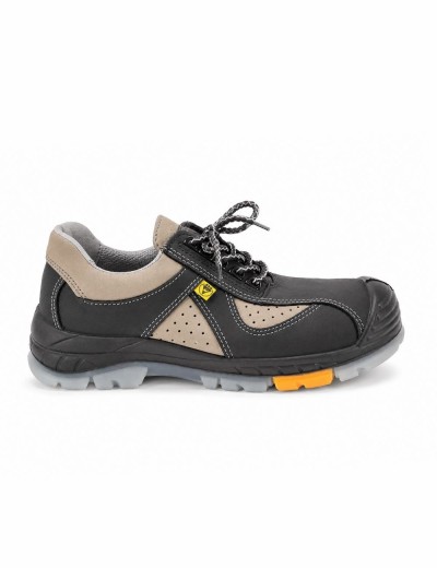 PPO 703 S1 darbo Batai