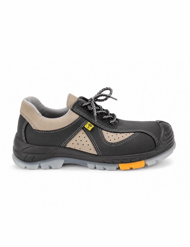 PPO 703 S1 darbo Batai