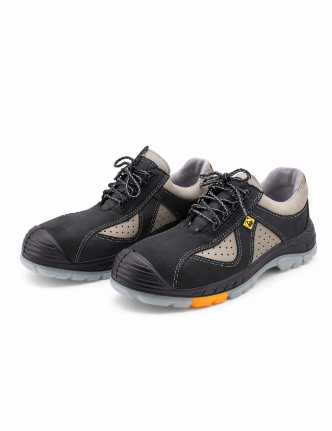 PPO 703 S1 darbo Batai