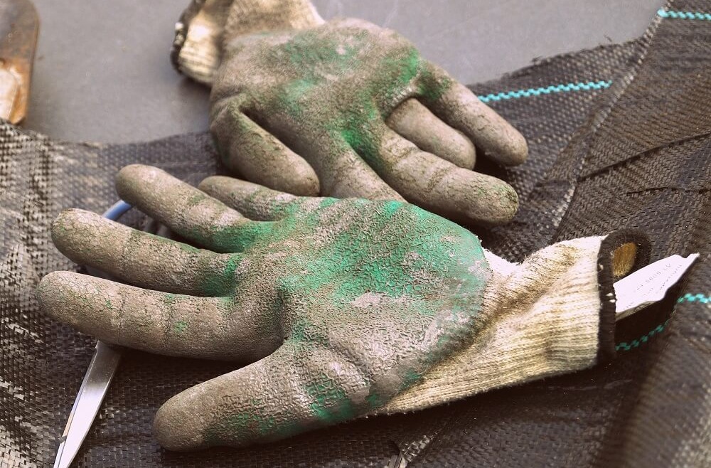 Kokias lauko pirštines rinktis?